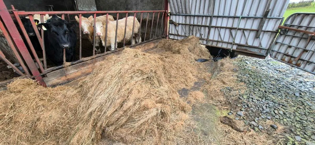 Bales - Image 2