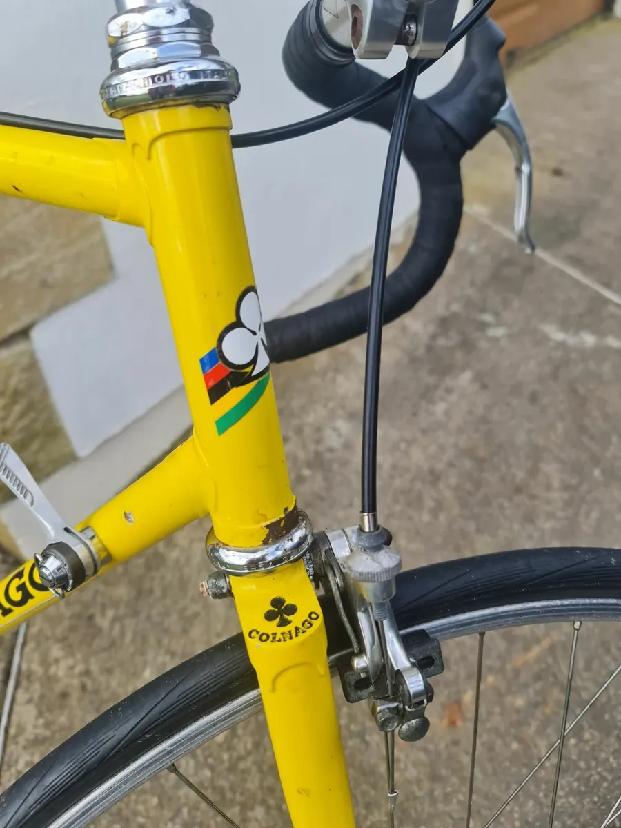 Colnago Vintage - Image 2