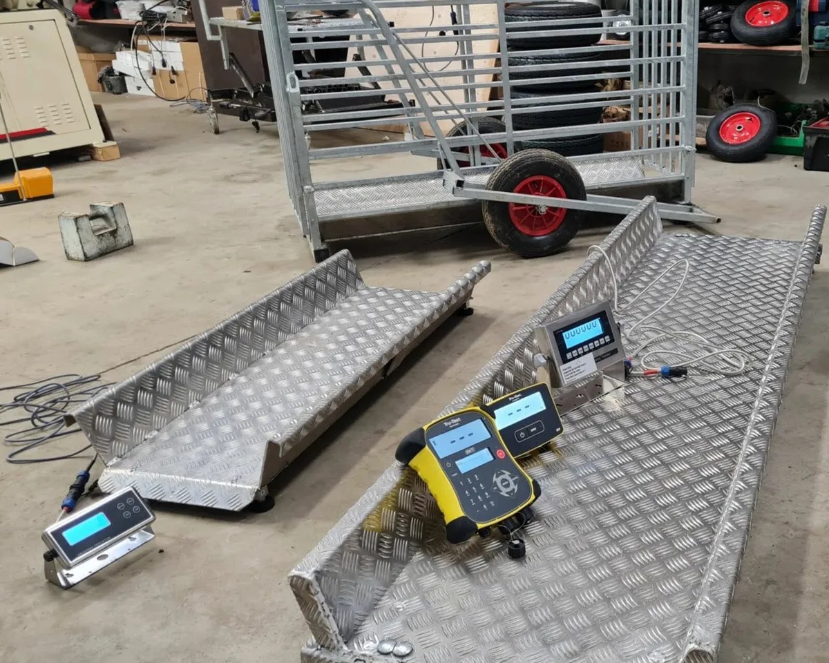 New Cattle Scales, mobile crates - Image 3
