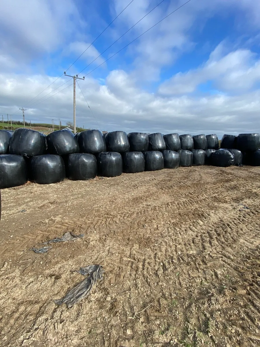 Silage