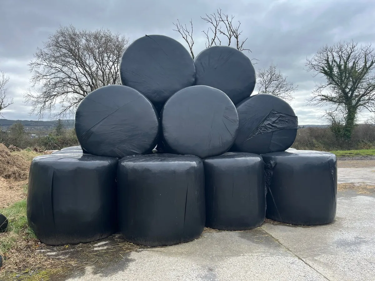 Silage bales + Hay bales