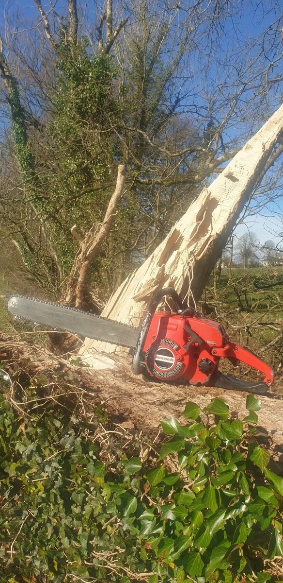 Jonsered 49sp Chainsaw - Image 1