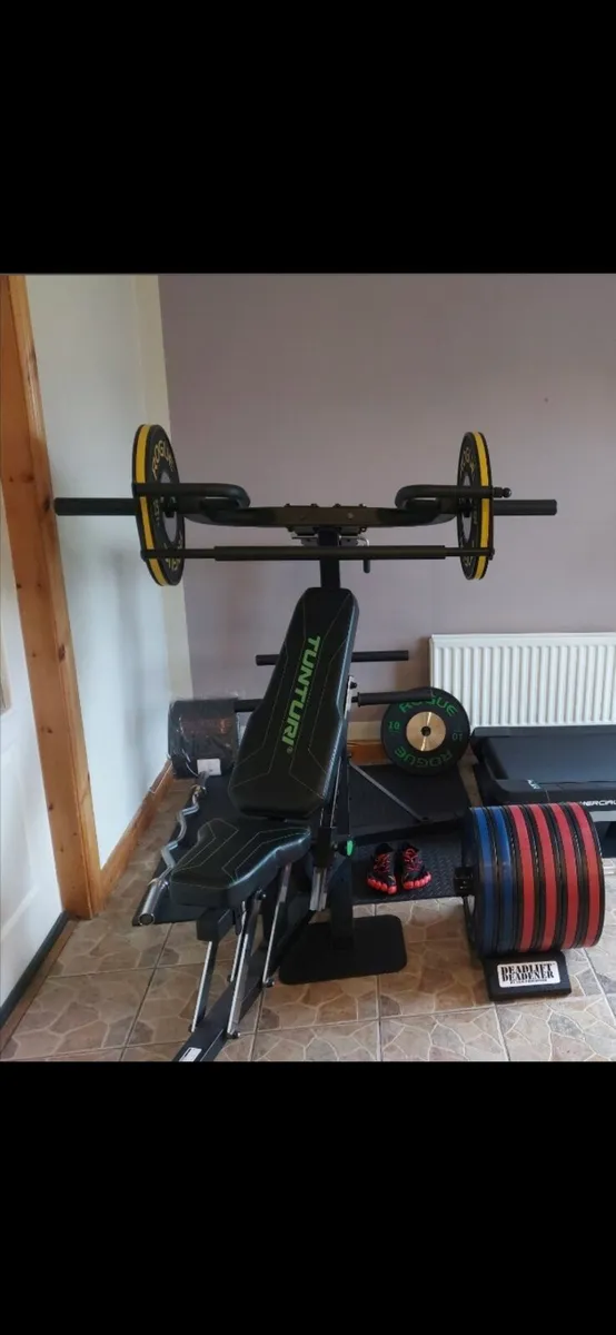 Rogue Plates Gym machine - Image 4