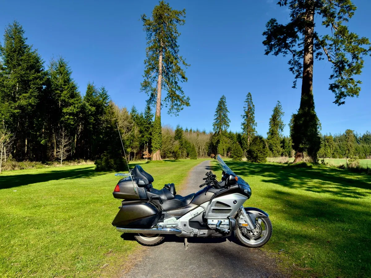 2013 Goldwing - Image 4