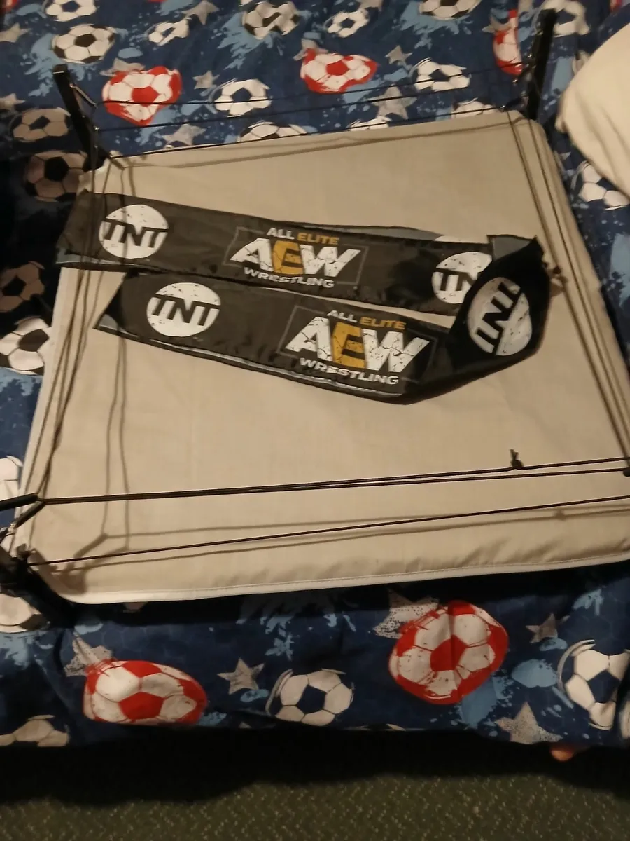 Wrestlers and Wrestling ring and other bits - Image 3