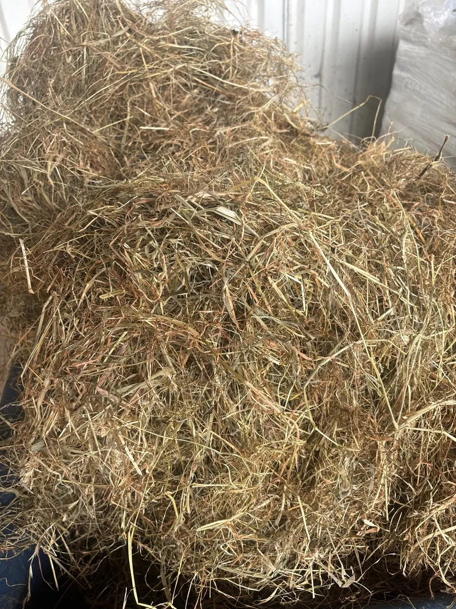 Equine Haylage&hay - Image 2