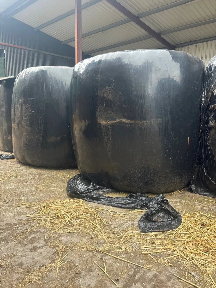 Equine Haylage&hay - Image 1