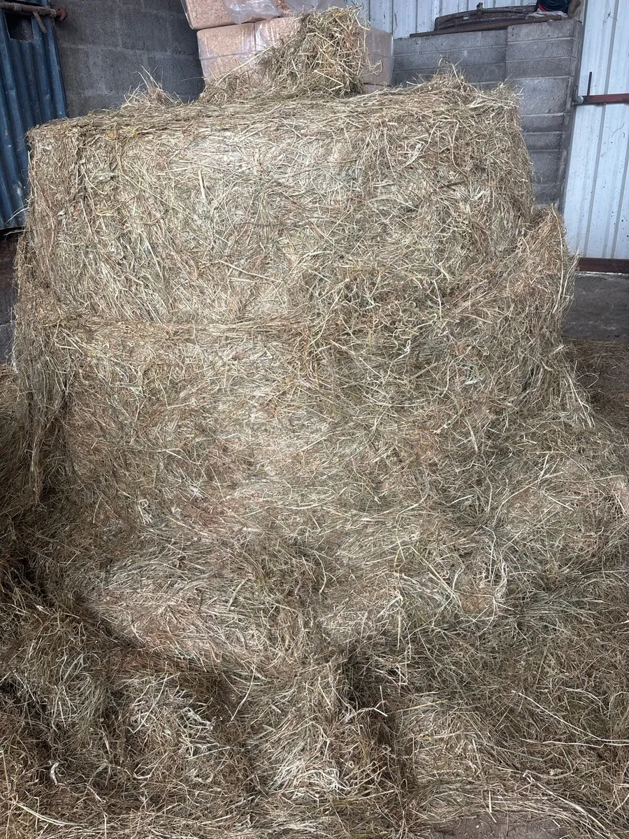 Equine Haylage&hay - Image 3