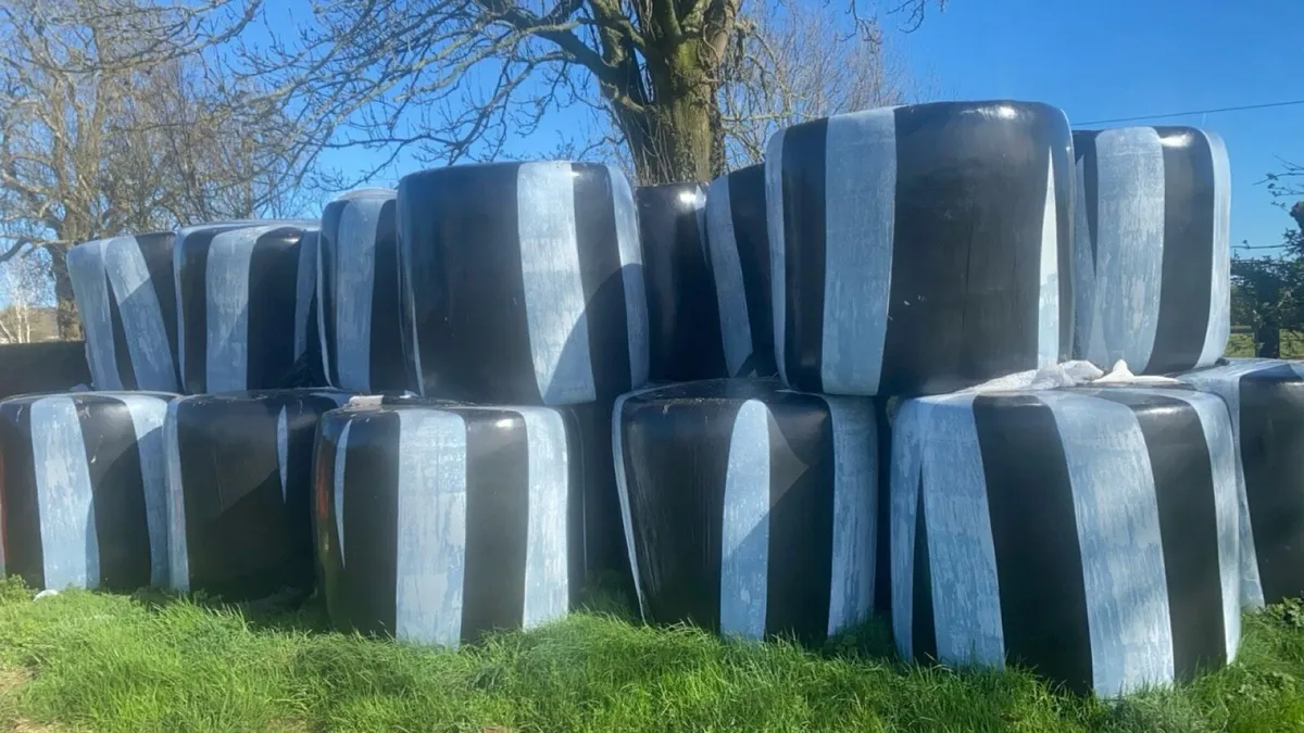 Round Silage Bales - Image 2