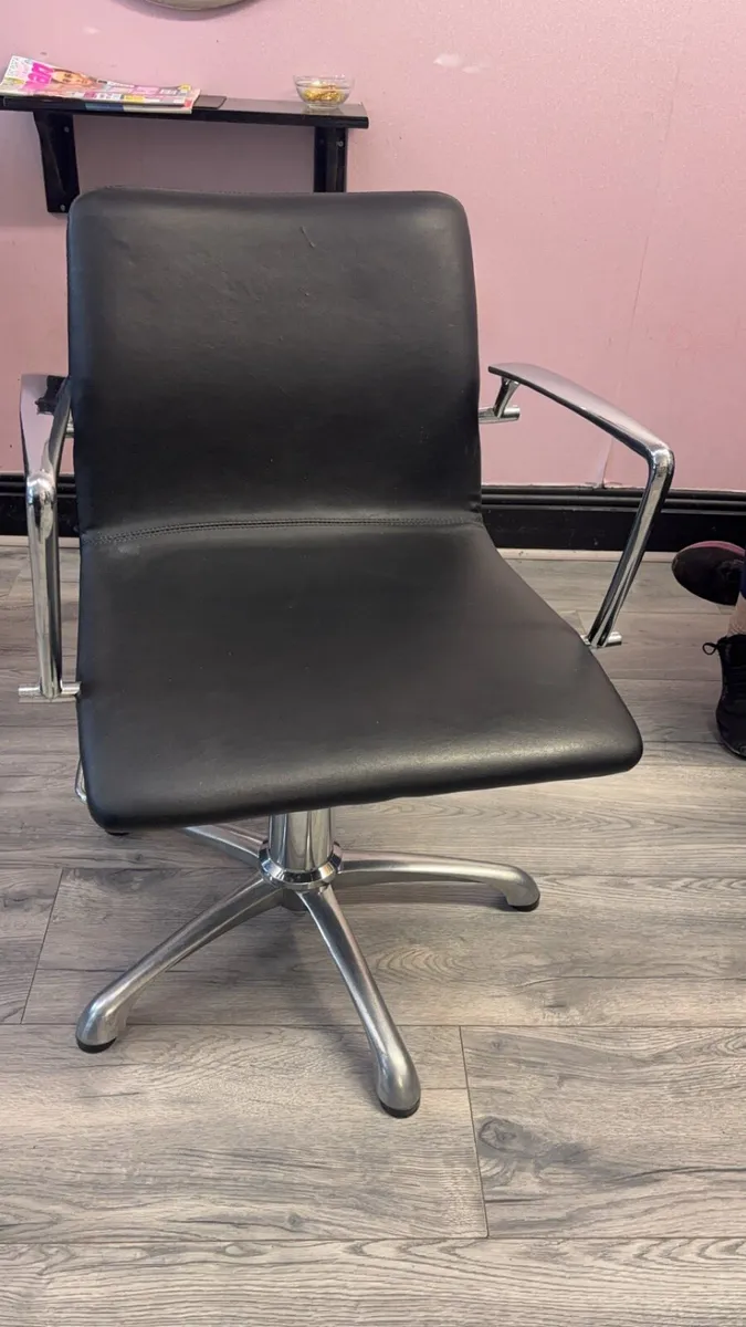 Two Salon Chairs - Image 1