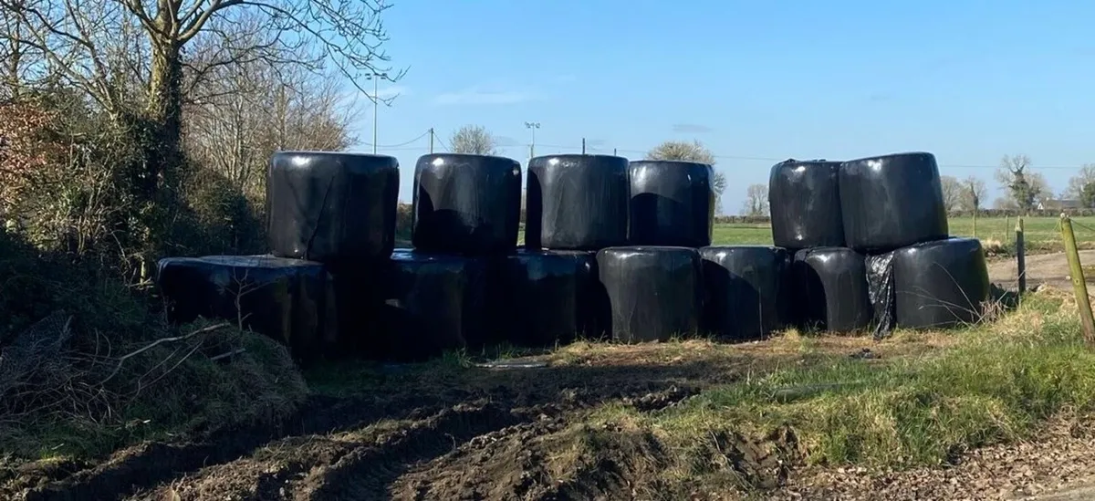 Round Silage Bales - Image 1