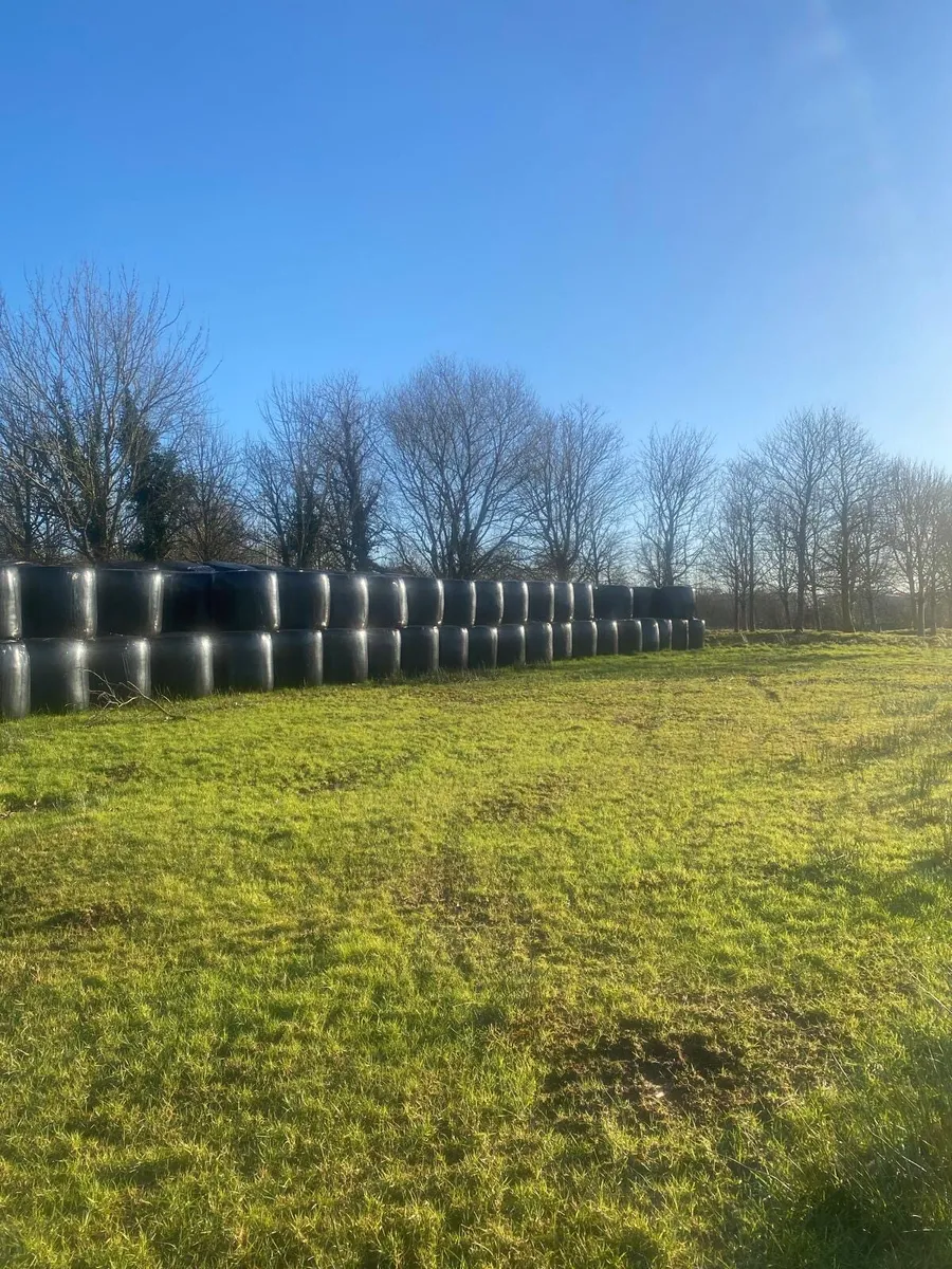 Silage - Image 1