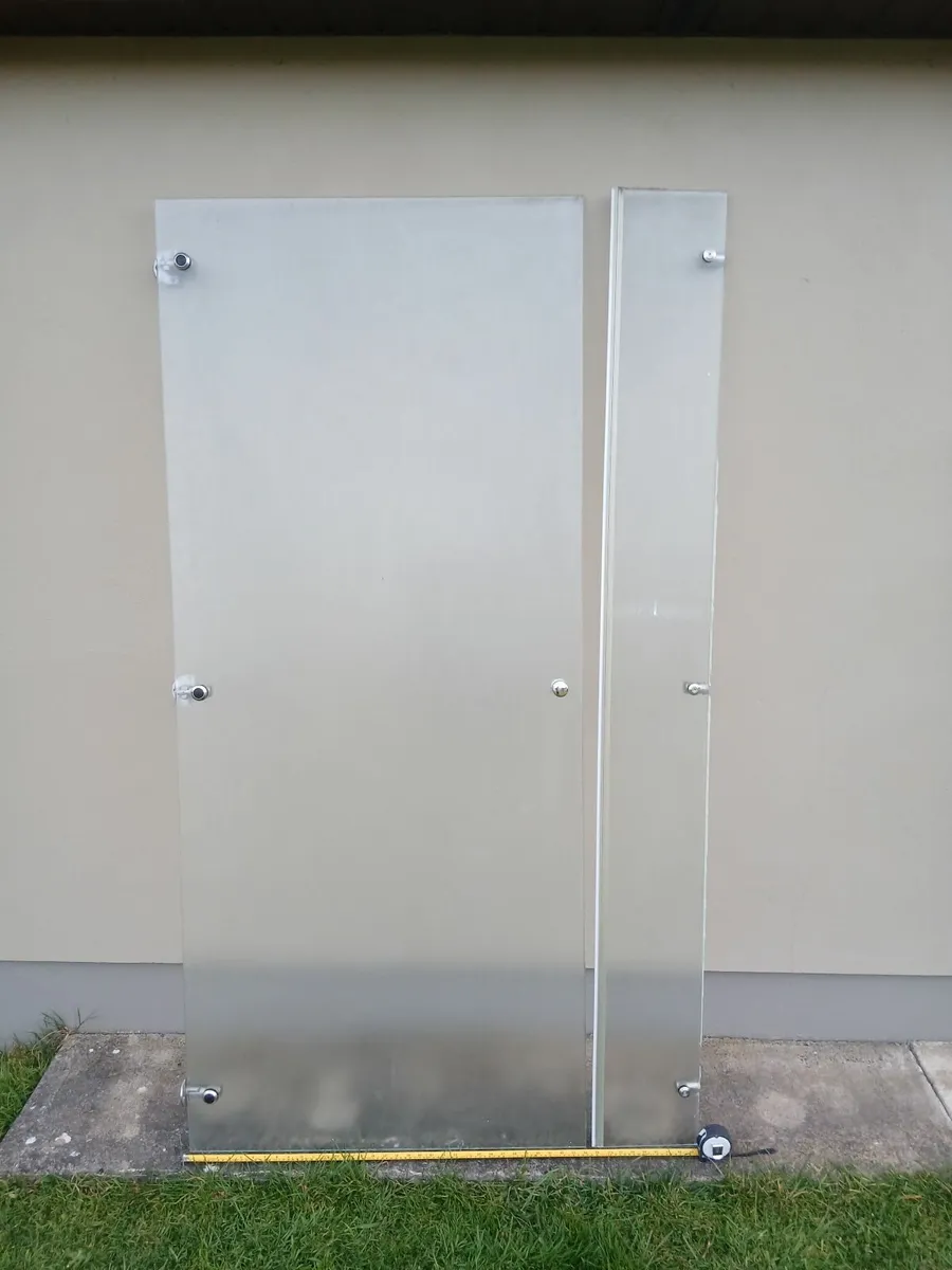 Shower Door. And side panel - Image 4