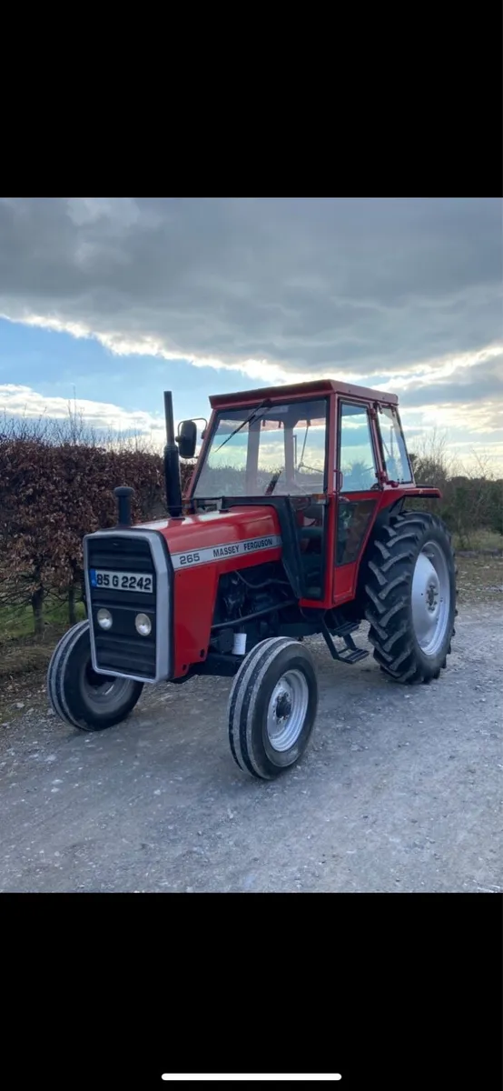 ♦️265 Massey Ferguson♦️ - Image 1