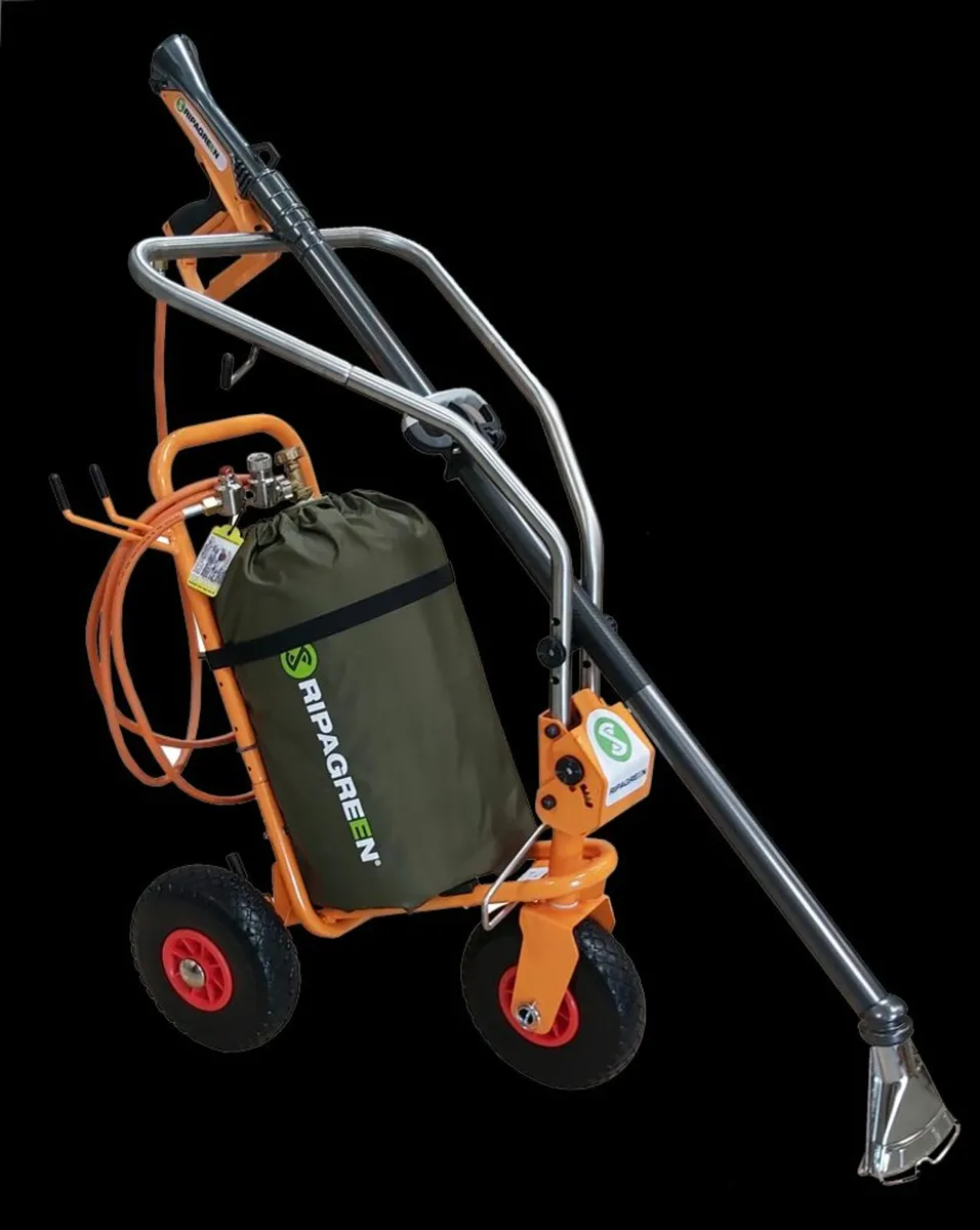 Ripagreen Weed Killer - Image 4