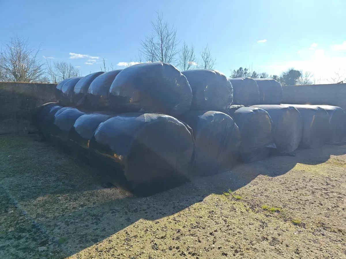 Silage bales