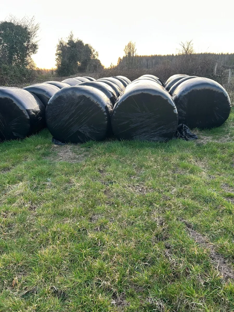 Silage