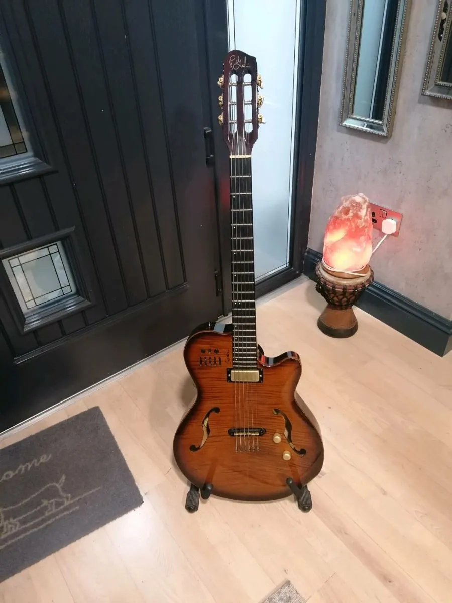 Godin Multiac Jazz Guitar - Image 1