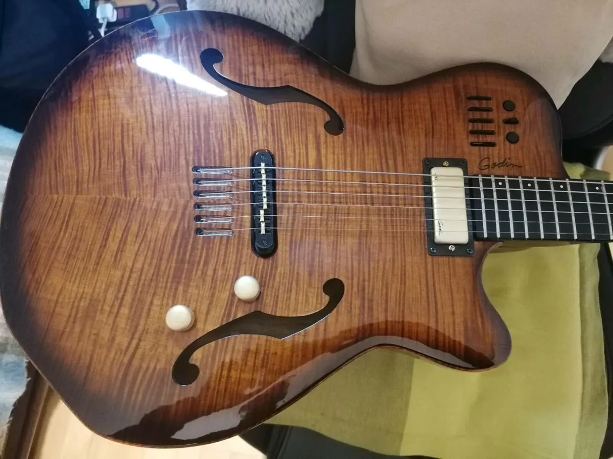 Godin Multiac Jazz Guitar - Image 3