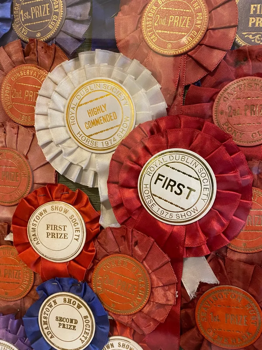 1940s etc Royal Dublin Horse Show Rosettes framed - Image 2