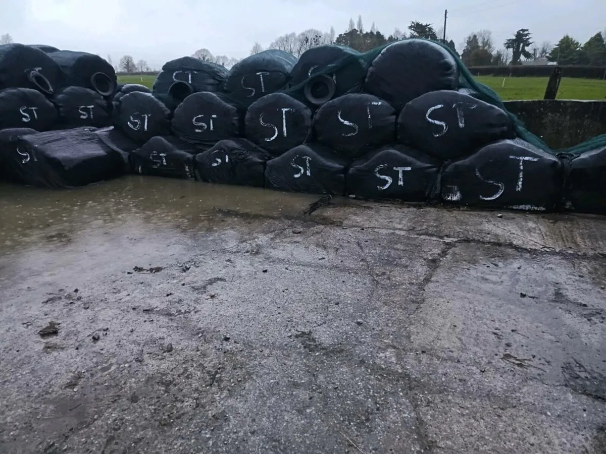 Silage Bales