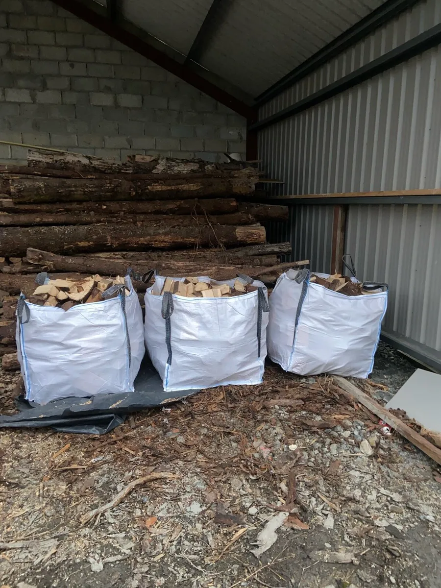 Firewood seasoned ready to burn softwood - Image 1