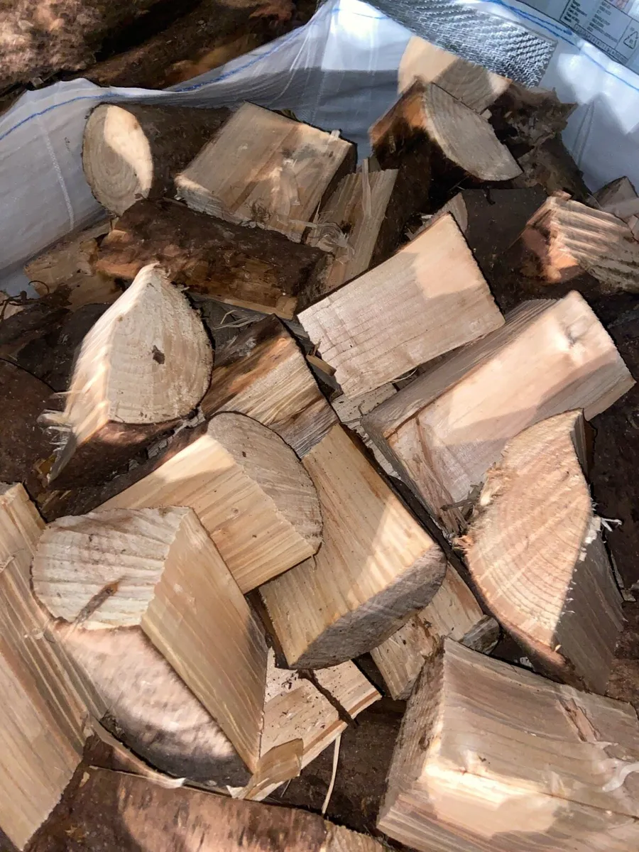 Firewood seasoned ready to burn softwood - Image 4