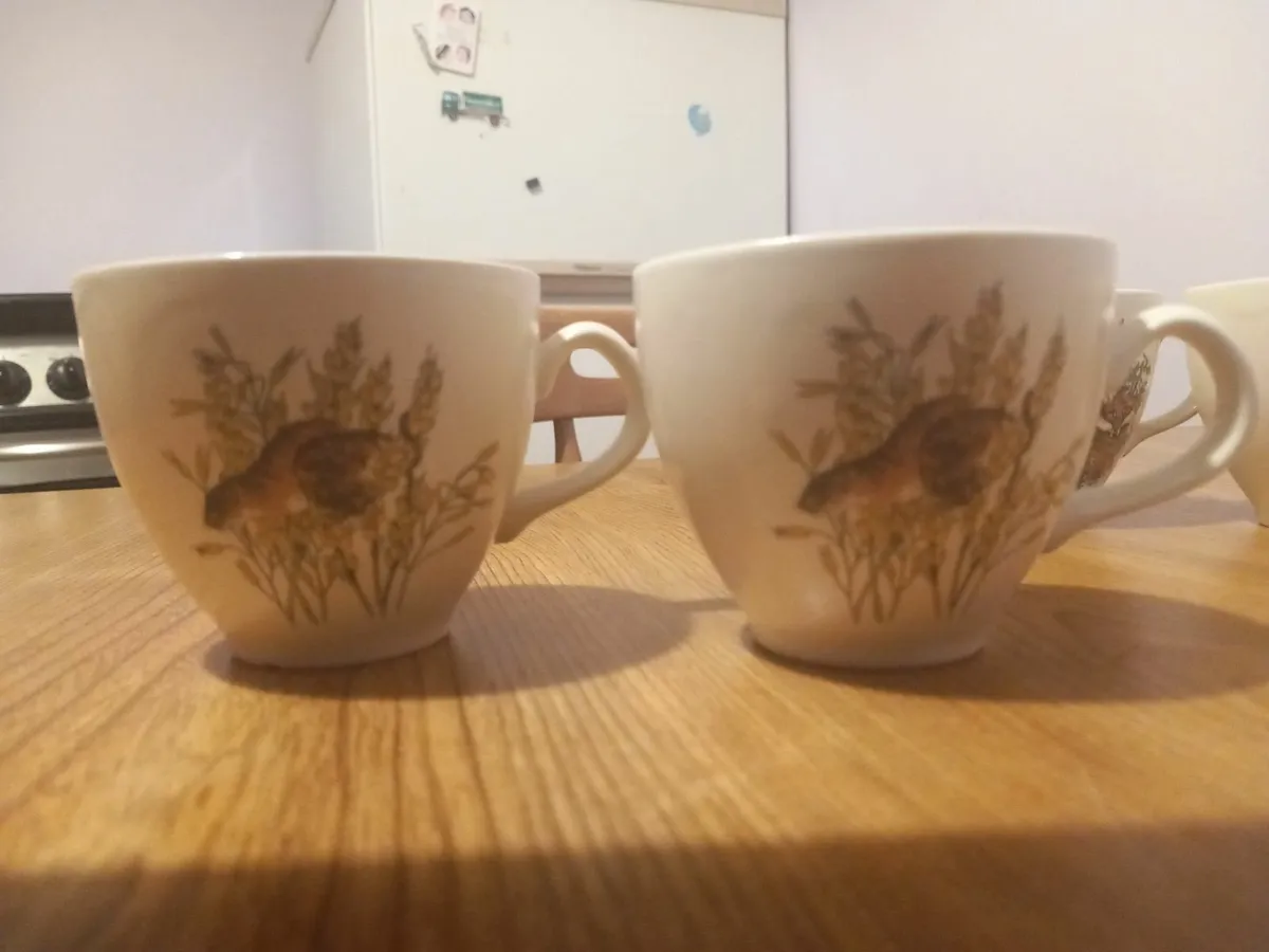 Six Cups - Image 4