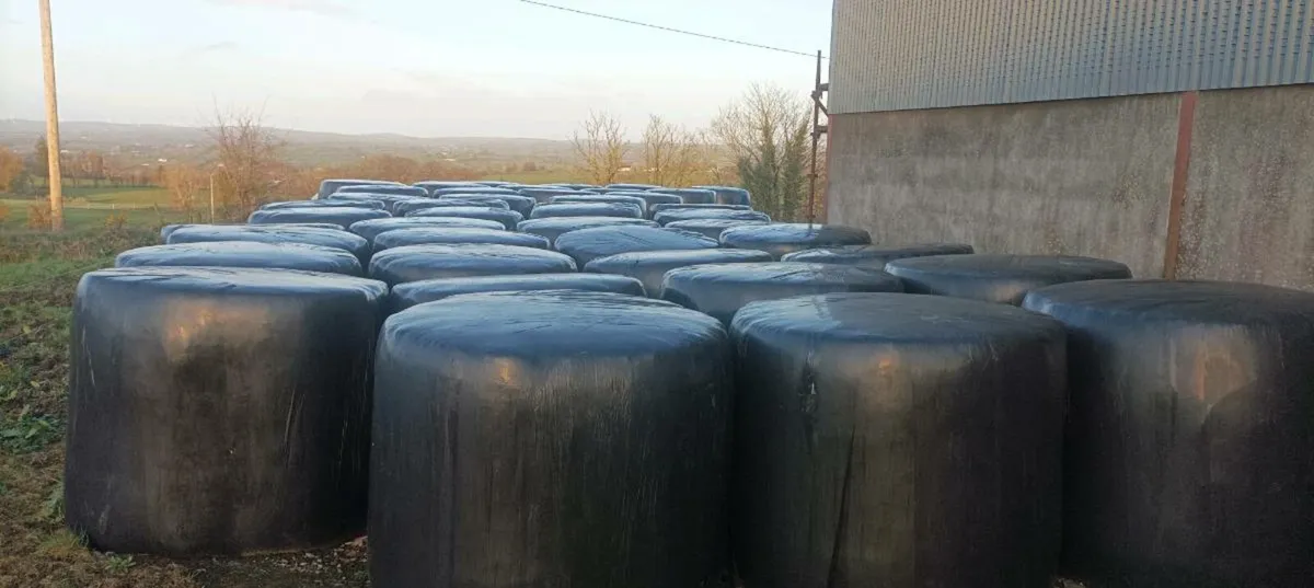 Bales