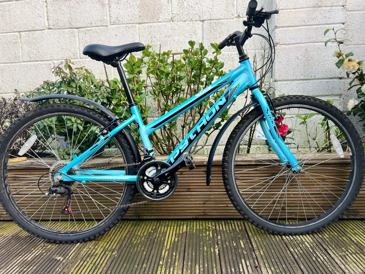 Bike - Image 1