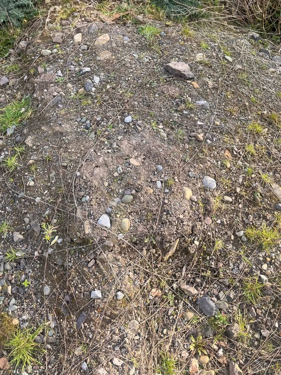 Mixed stone / Clay - FREE TO TAKE AWAY - Image 1