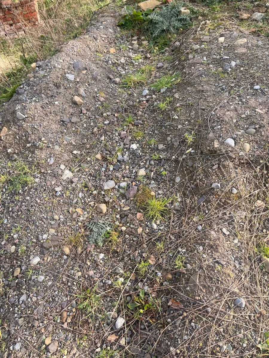 Mixed stone / Clay - FREE TO TAKE AWAY - Image 2