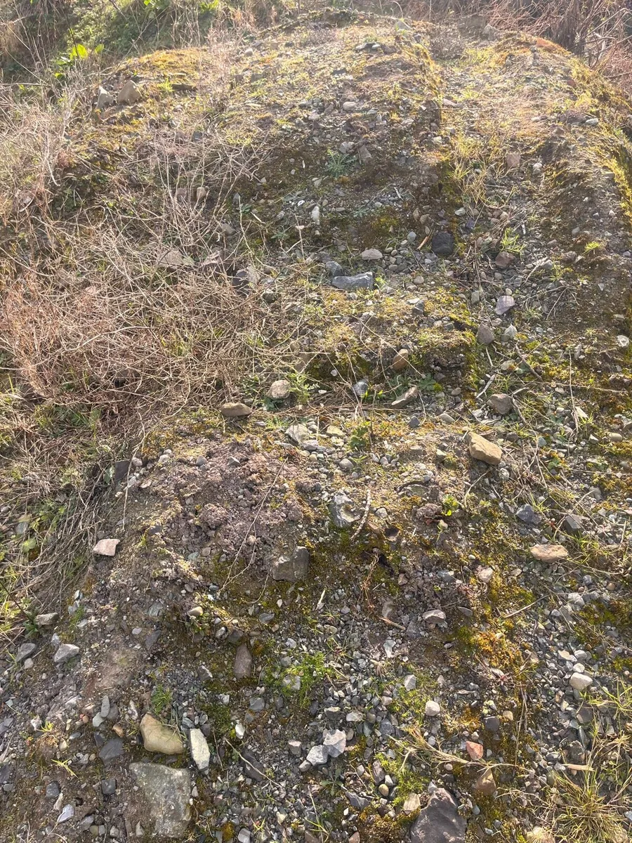 Mixed stone / Clay - FREE TO TAKE AWAY - Image 3