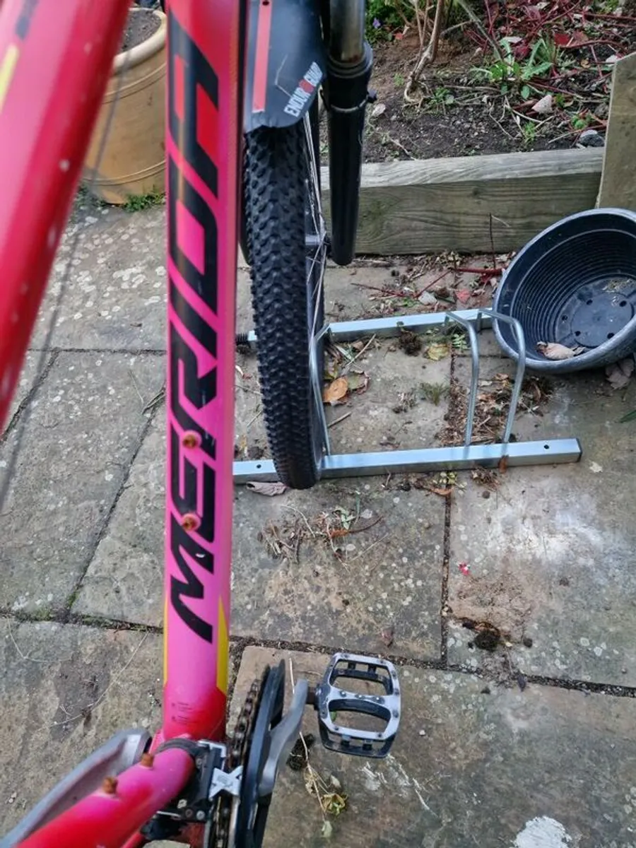 Mountain Bike - Image 1