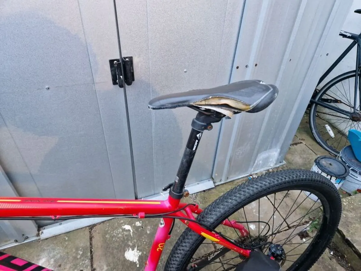 Mountain Bike - Image 2