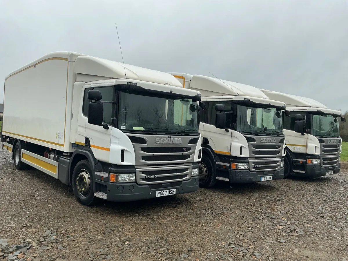 Scania p250 - Image 2