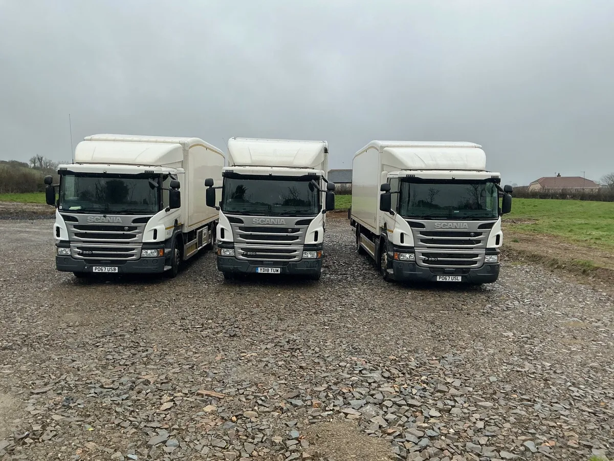Scania p250 - Image 3