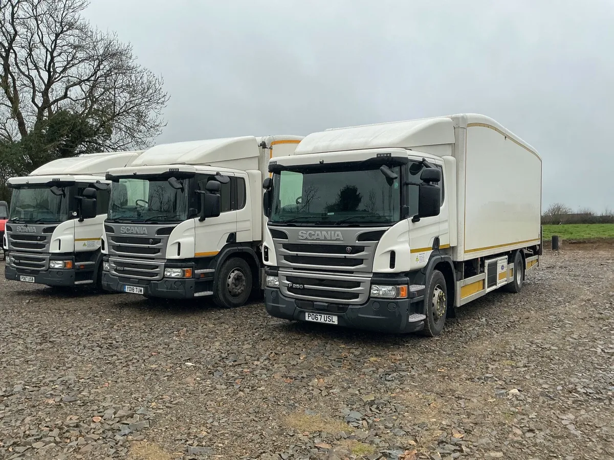 Scania p250 - Image 1