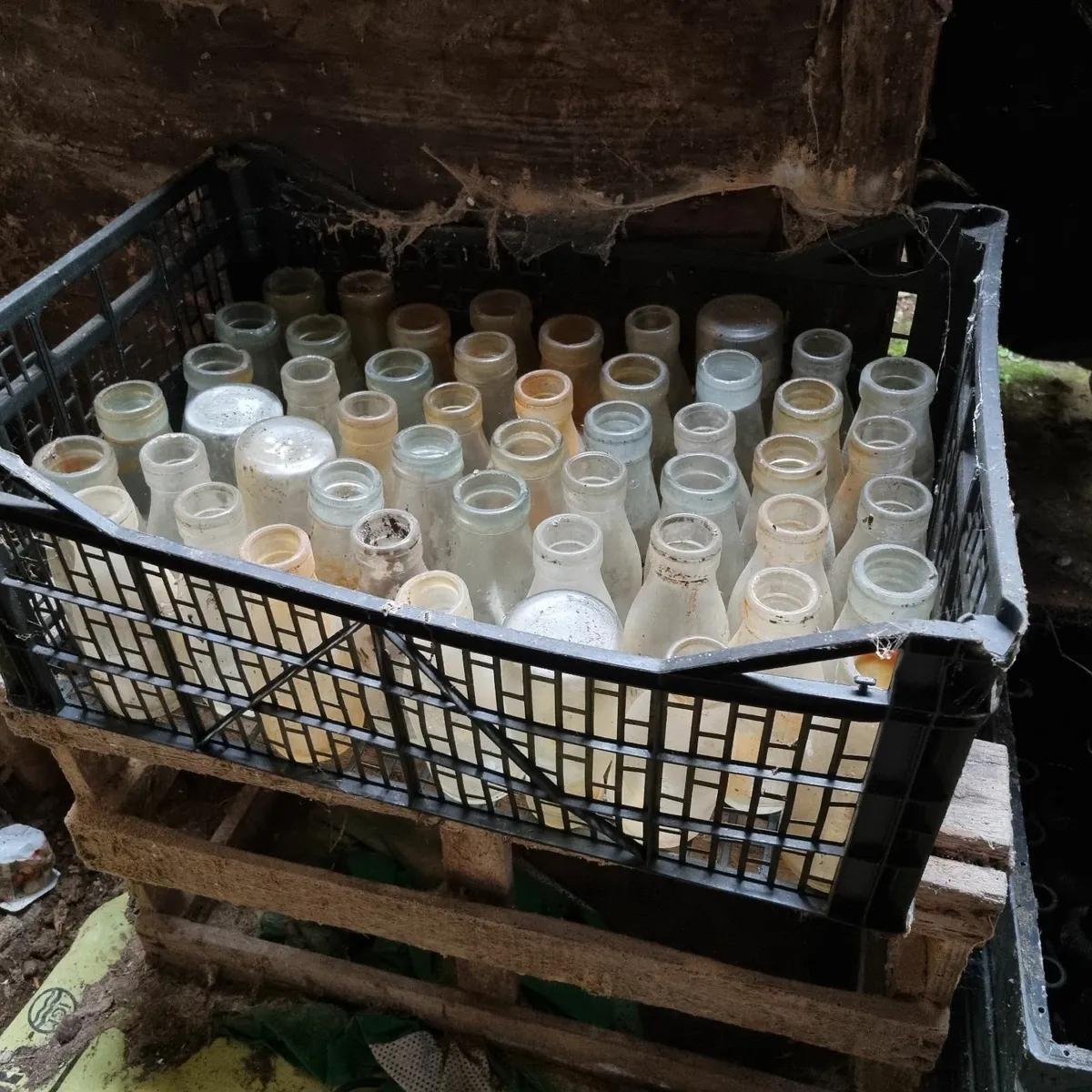 Old bottles - Image 2