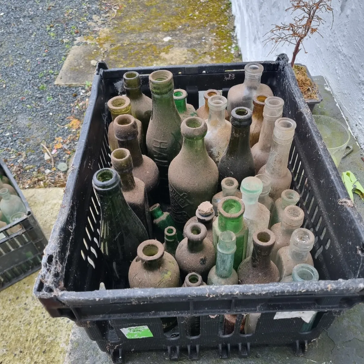 Old bottles - Image 3