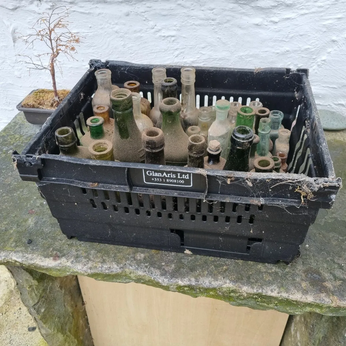 Old bottles - Image 4