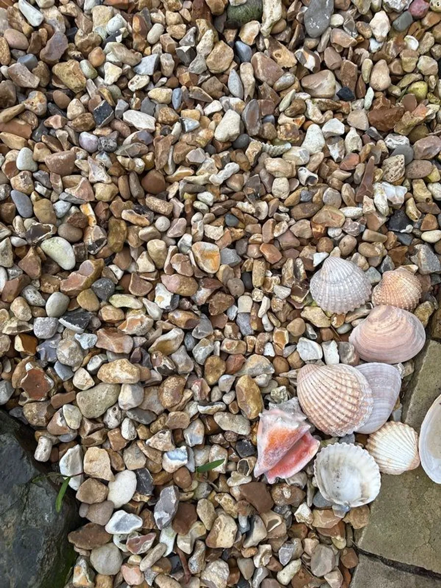 Stone - beautiful mixed with shells 1 tone left - Image 3