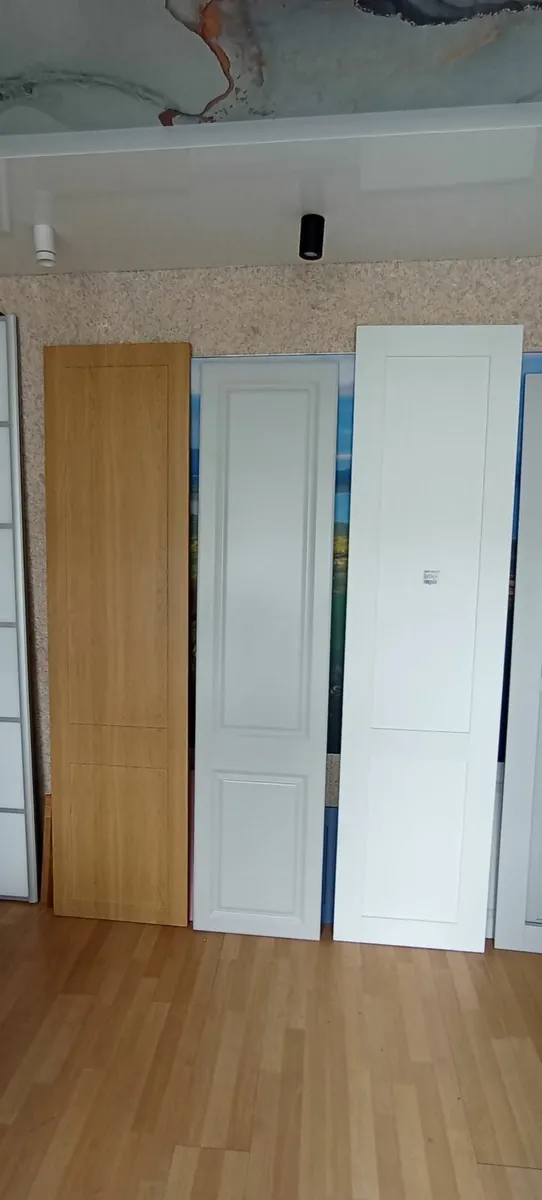 Hinge Doors and Sliding Doors for sale - Image 4