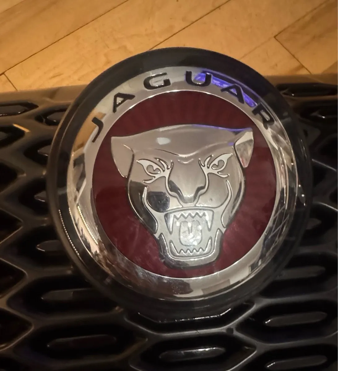 Jaguar Ipace front bumper grill - Image 3