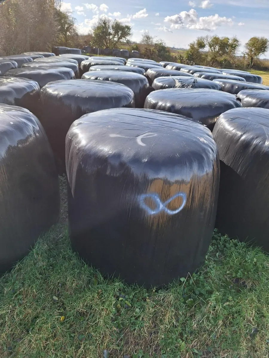 Silage Bales - Image 1