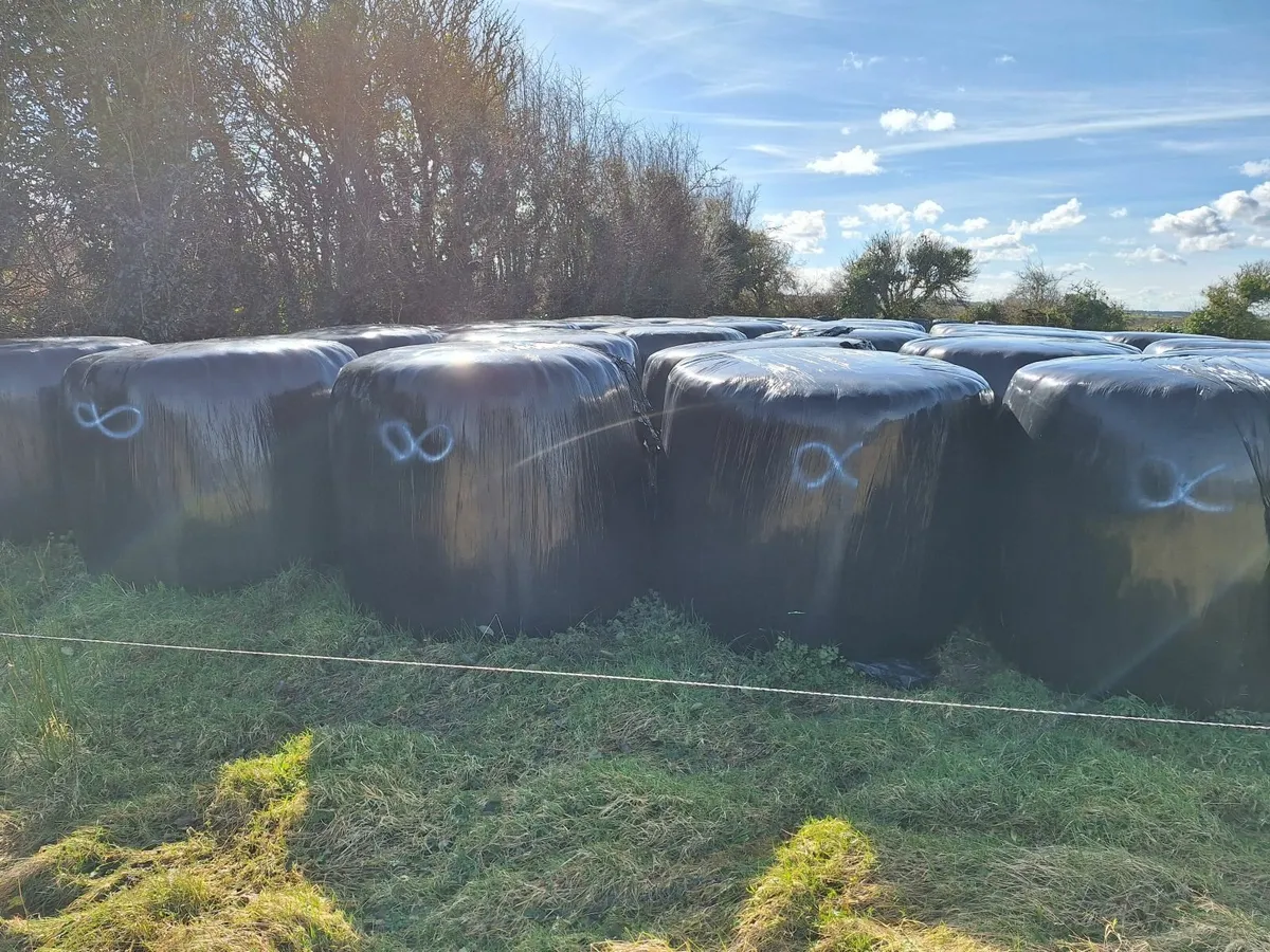 Silage Bales - Image 2