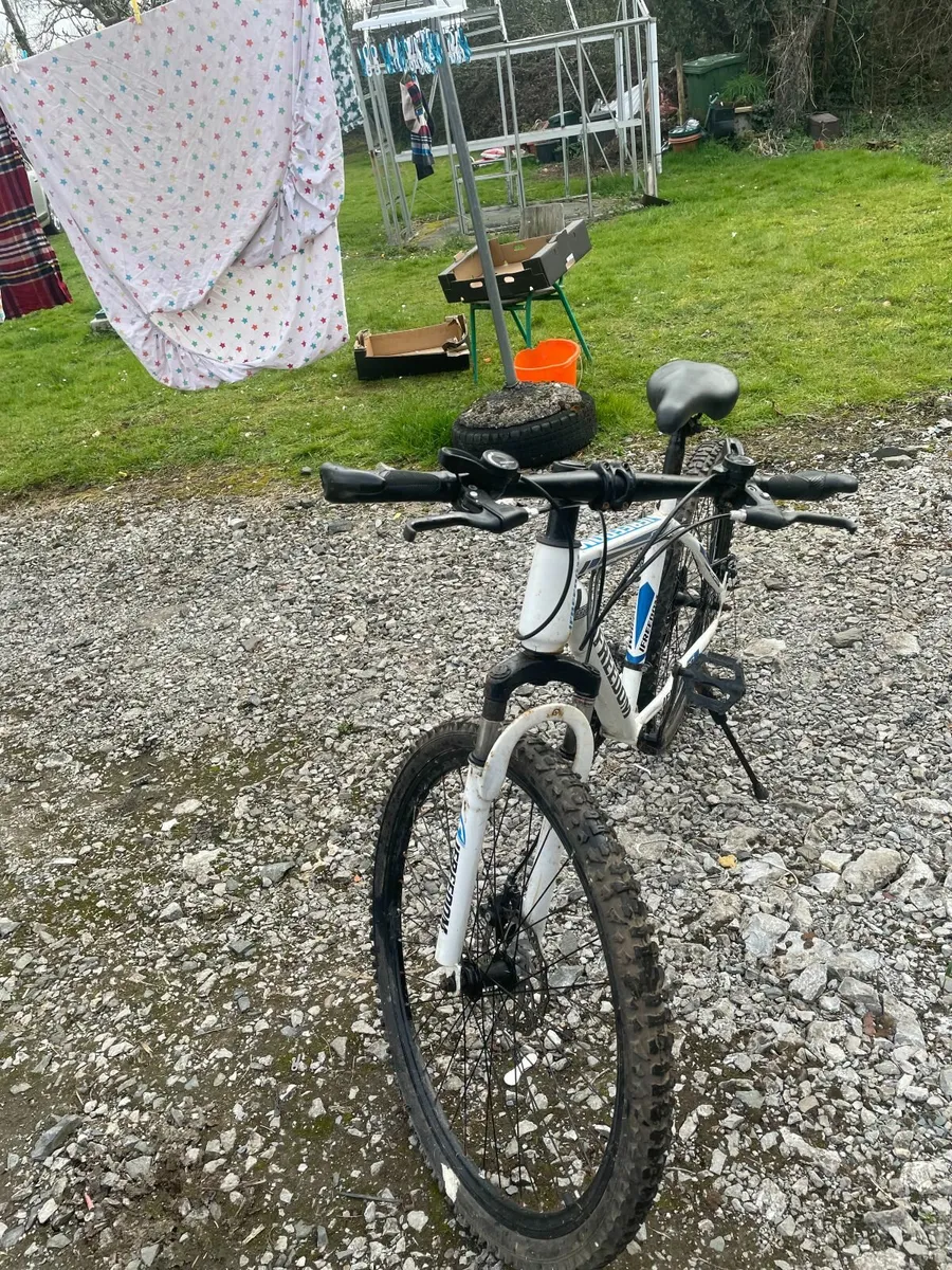 bycycle - Image 2
