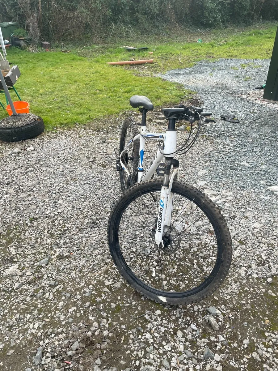 bycycle - Image 3