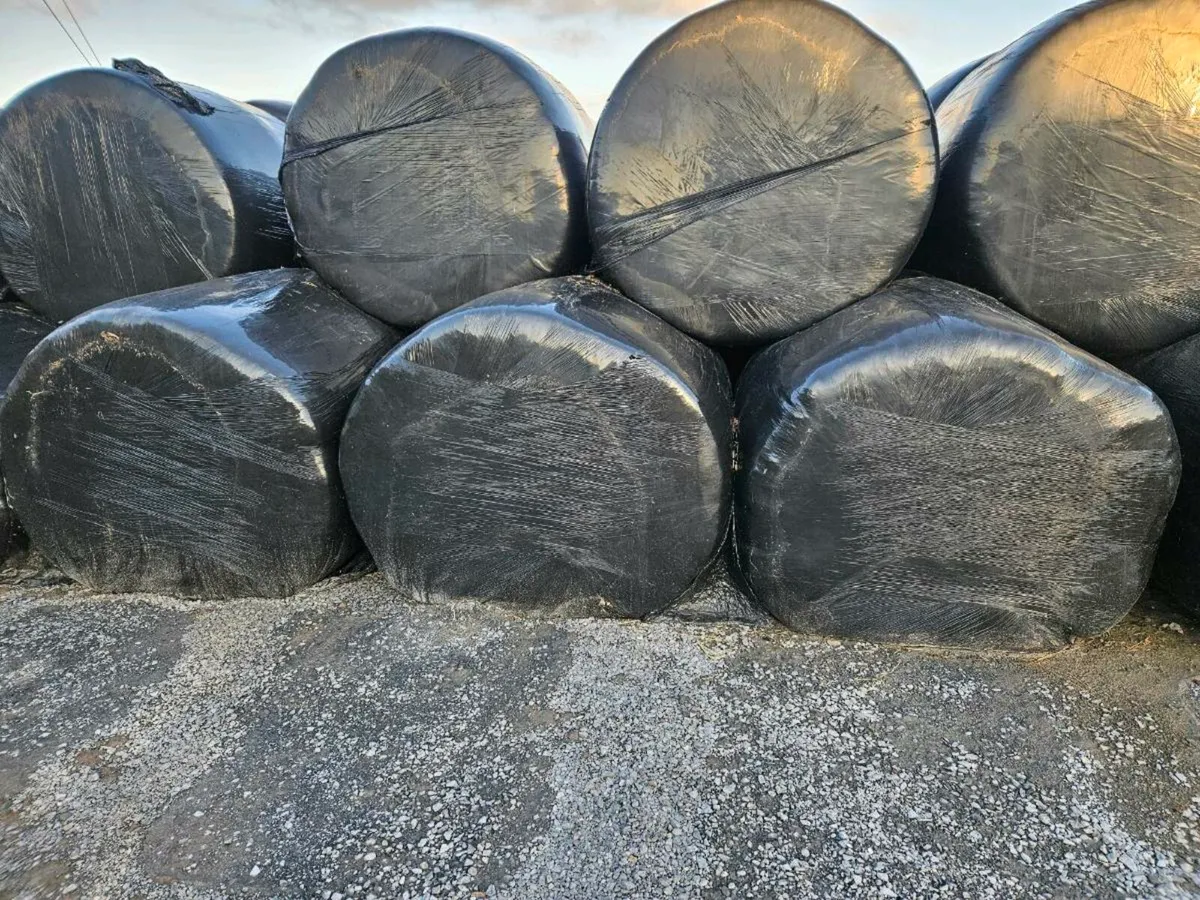 Round Bale silage