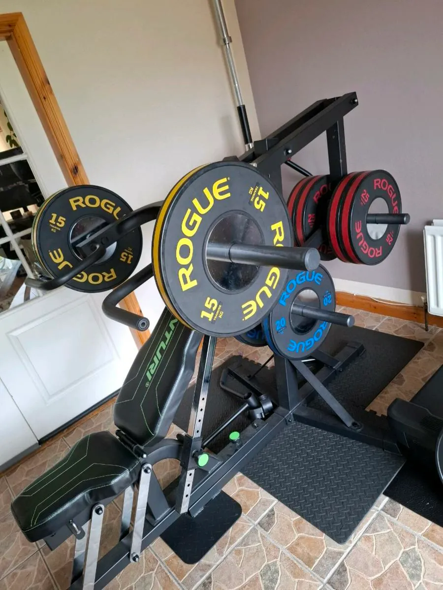 Rogue Plates Gym machine - Image 4